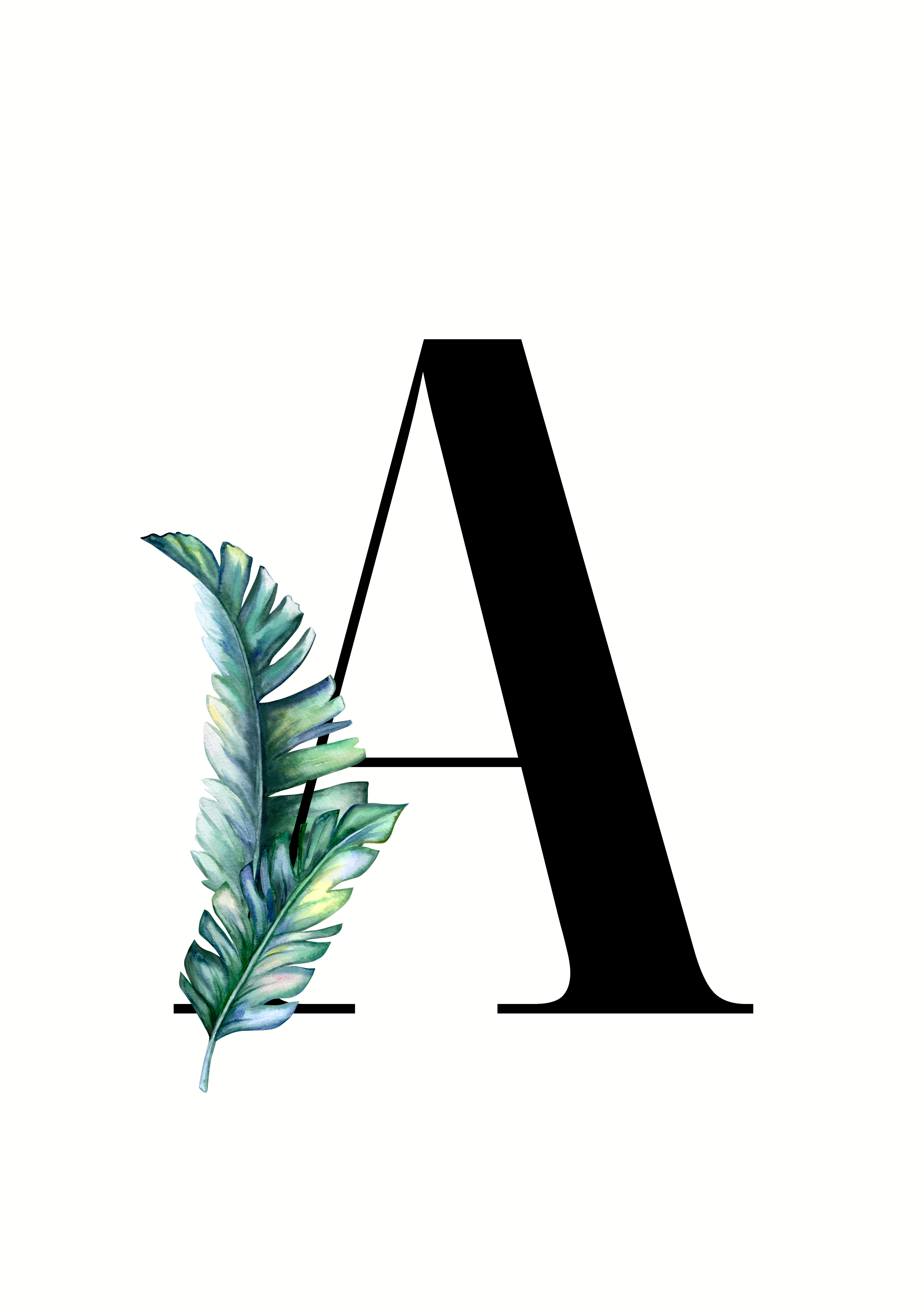 Botanical Alphabet Print - A Botanical Alphabet Print - A