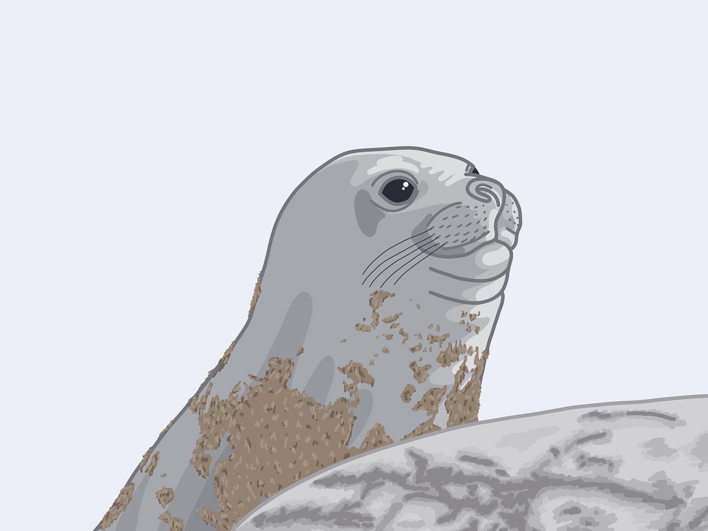 3381571D-542C-4917-9DD4-5B87DB72DC75