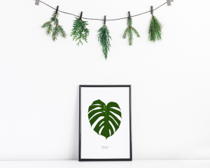 Monstera Leaf Art Print