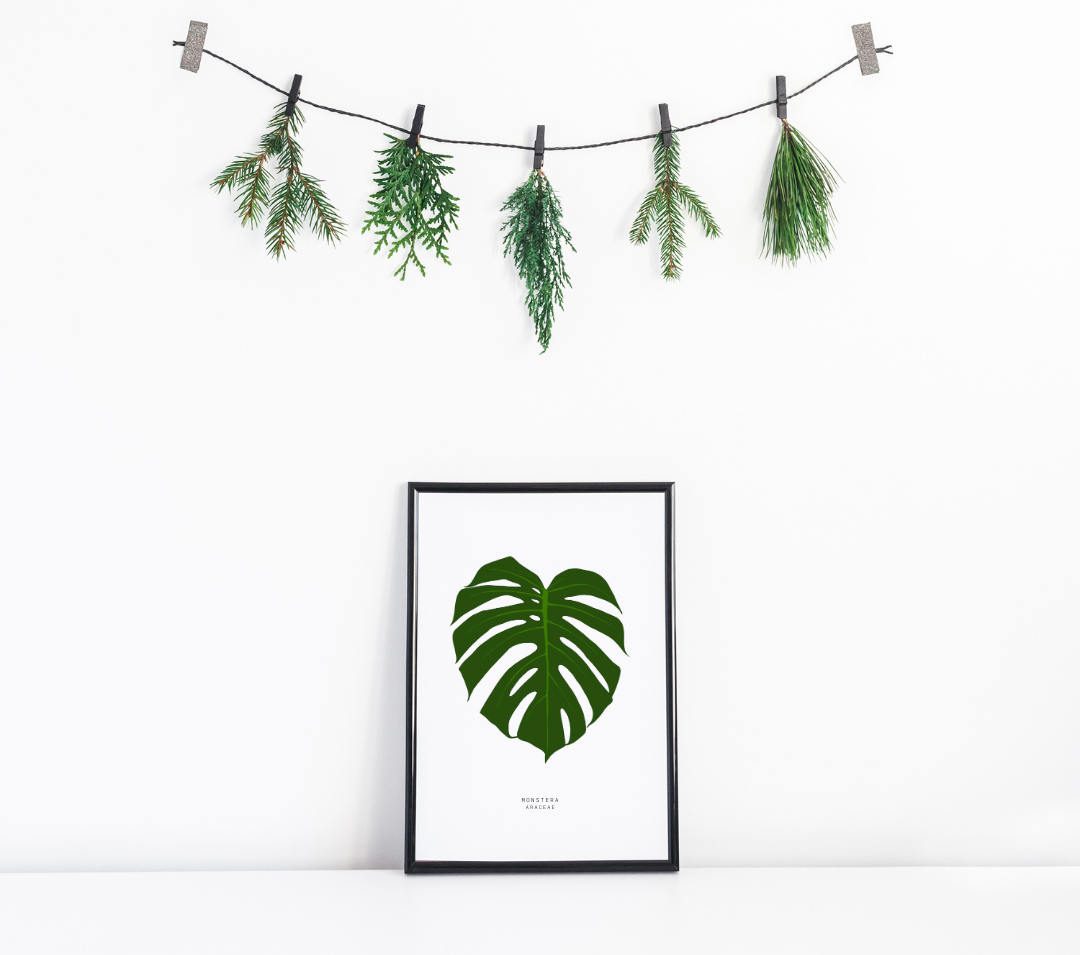 Monstera Leaf Art Print Monstera Leaf Art Print
