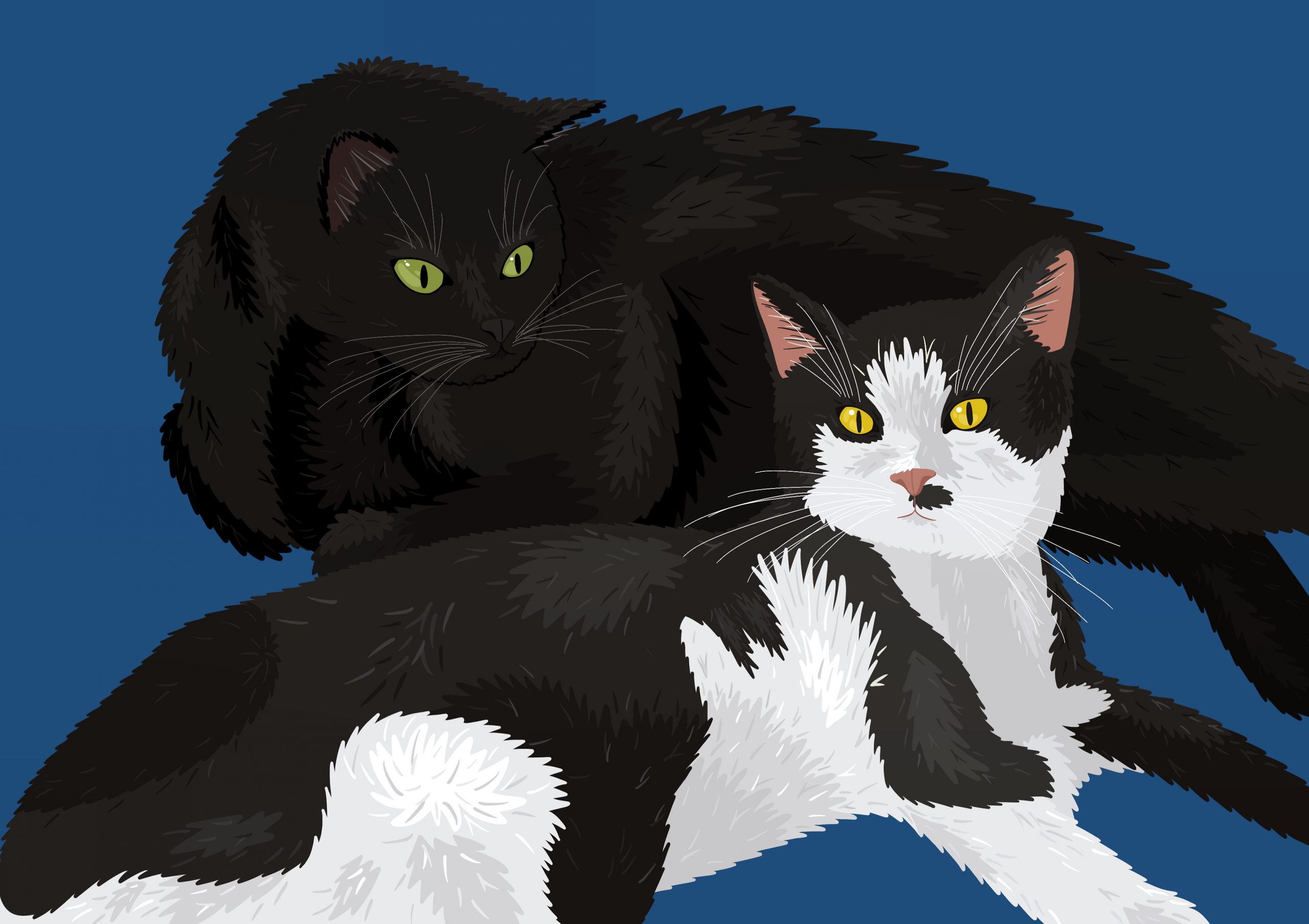 DDA76802-32DF-490E-85A7-FC501D4337BF