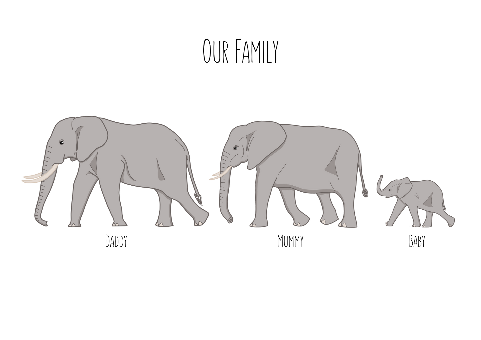 Elephant Family Portrait Elephant Family Portrait