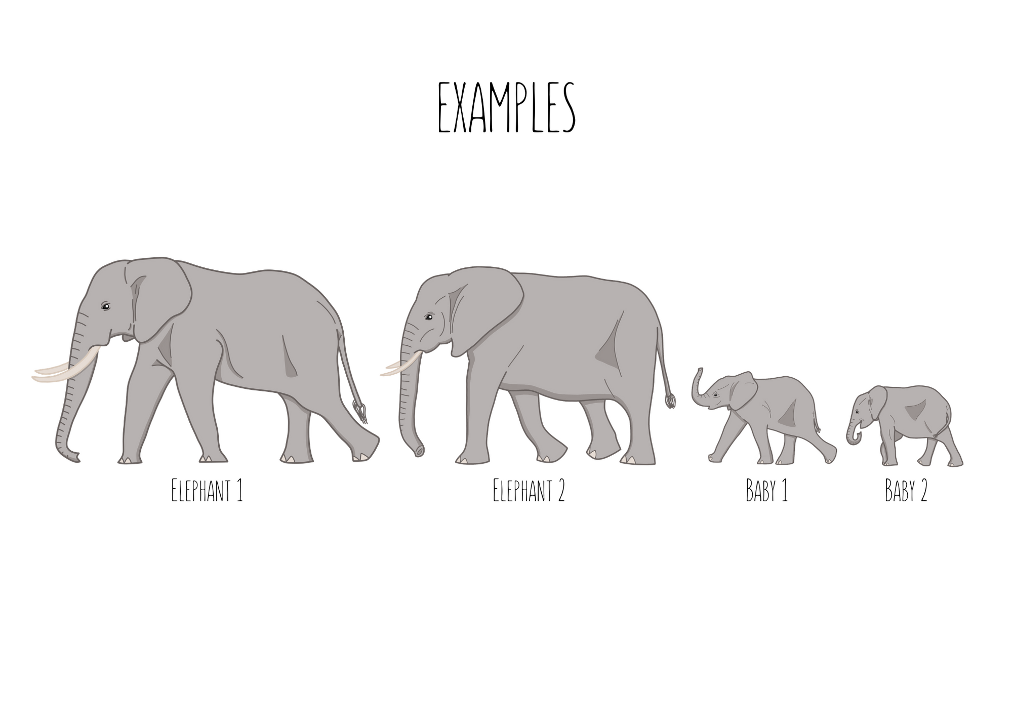 Elephant Family Portrait Elephant Family Portrait