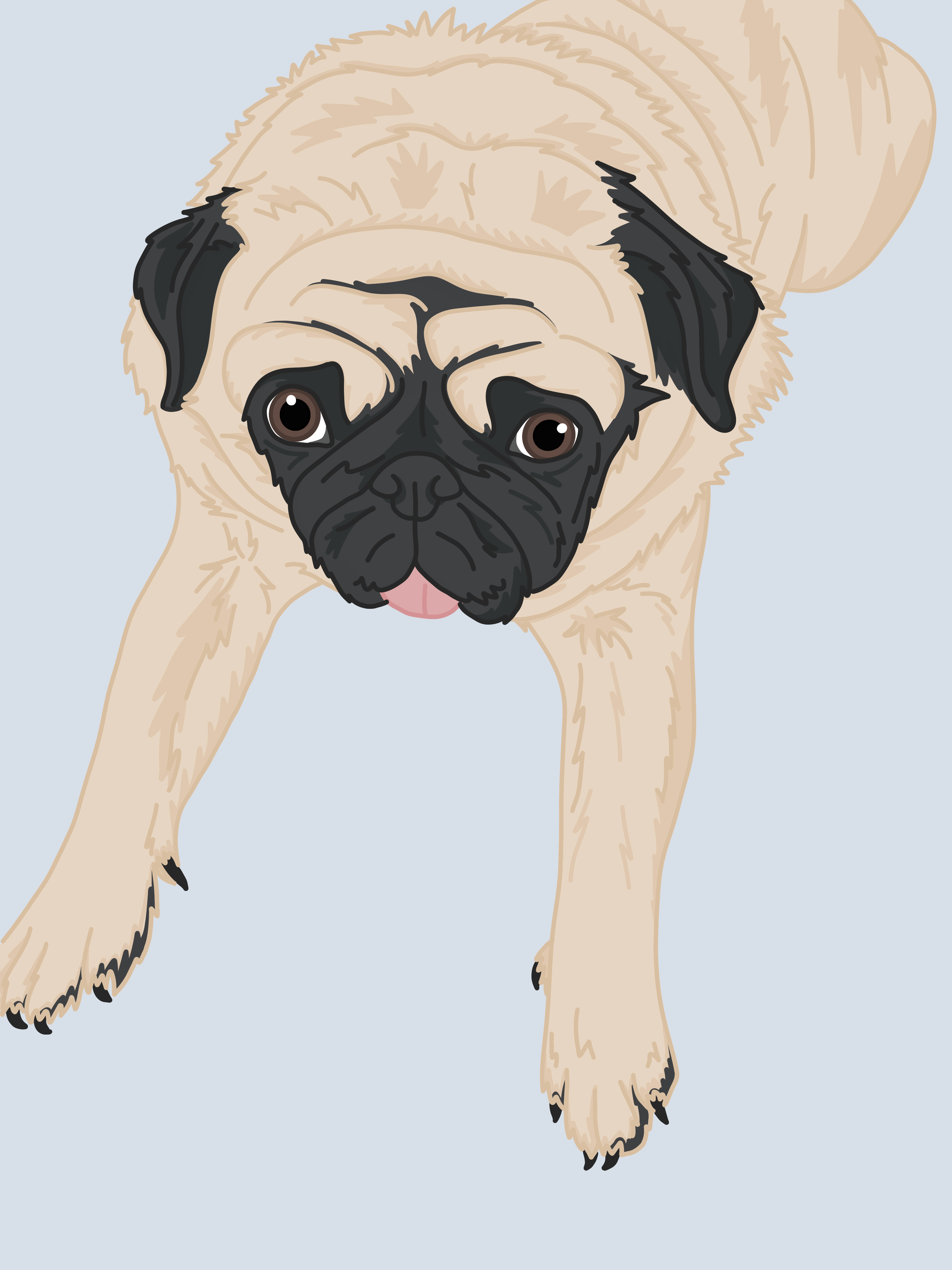 Nidge Pug Digital Portrait