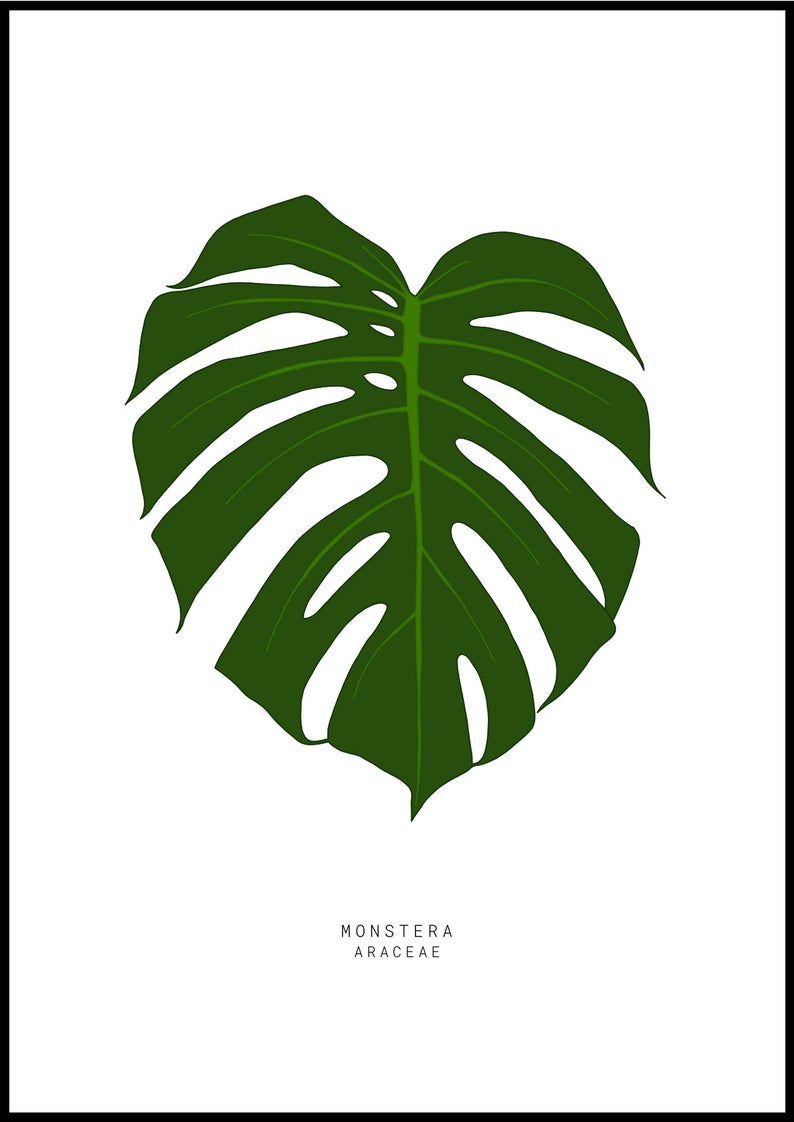 Monstera Leaf Art Print - White Monstera Leaf Art Print - White