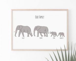 Elephant Family Portrait
